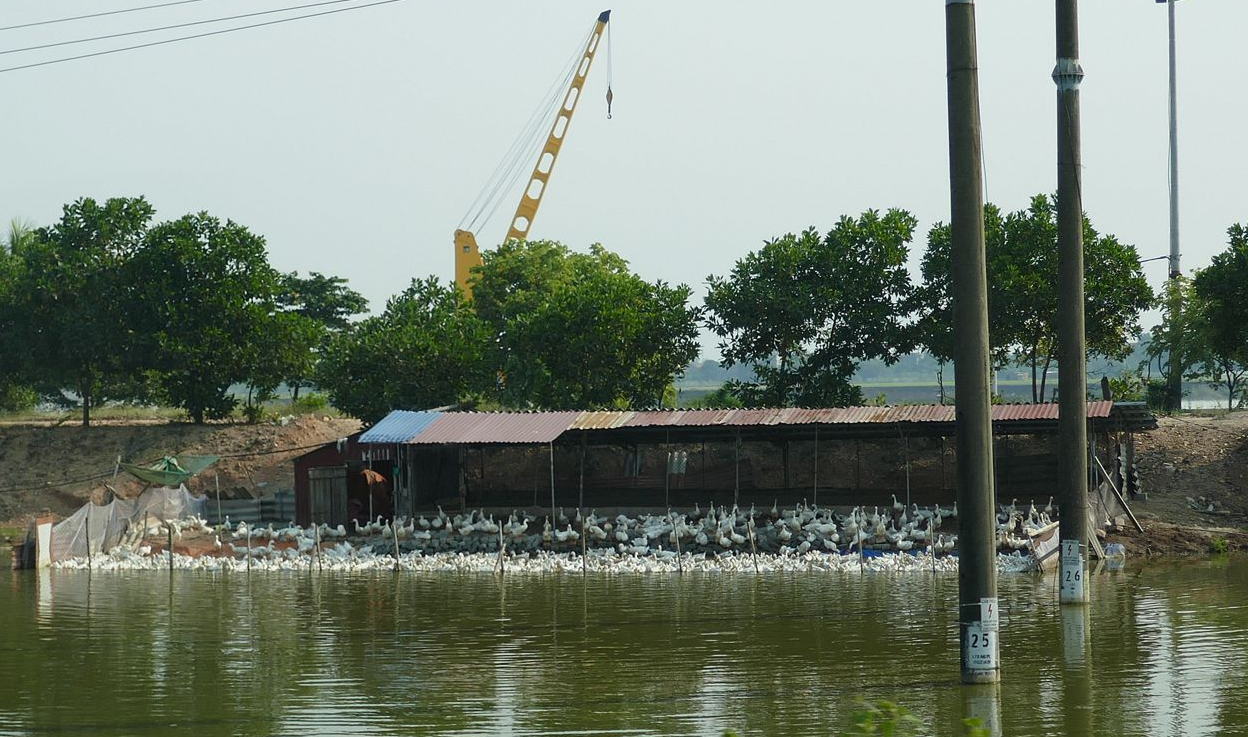 Hanoi-Halong - Landschaft-9
